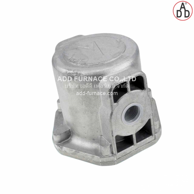 Pietro Fiorentini Gas Filter FMF1060100IA (2)